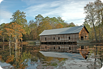 George L. Smith, II State Park